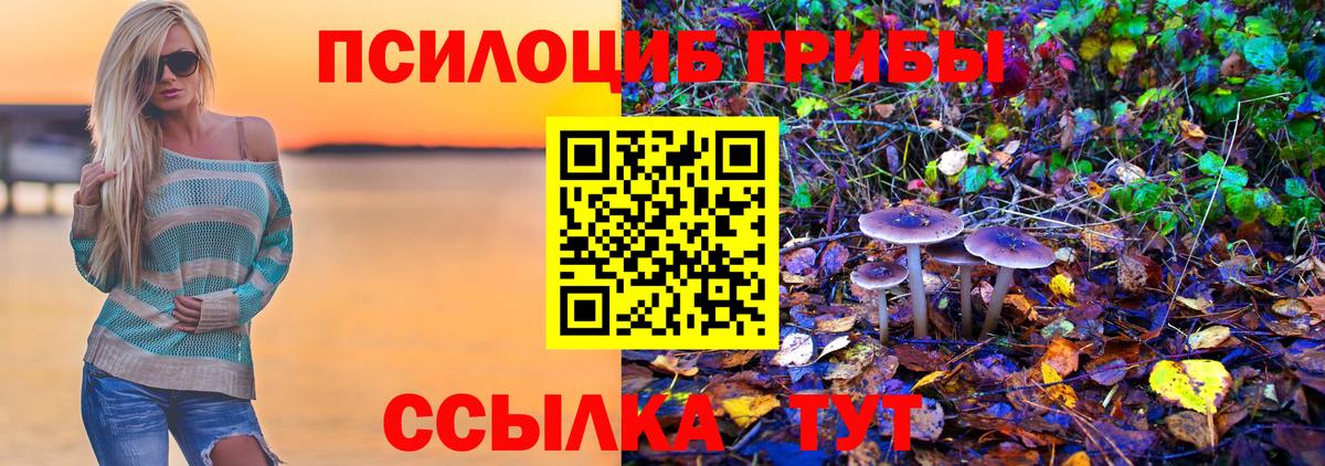 где можно купить   Галлюциногенные грибы Psilocybe  Вход с VPN  Минеральные Воды 