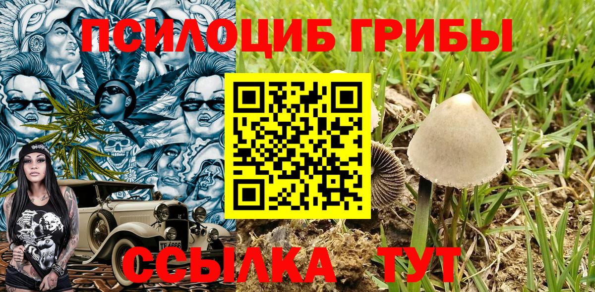 Псилоцибиновые грибы GOLDEN TEACHER Минеральные Воды